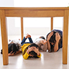  earthquake